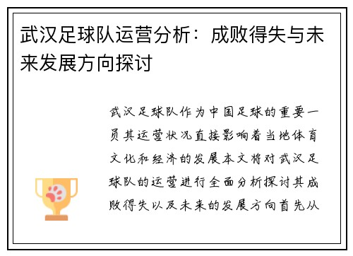 武汉足球队运营分析：成败得失与未来发展方向探讨